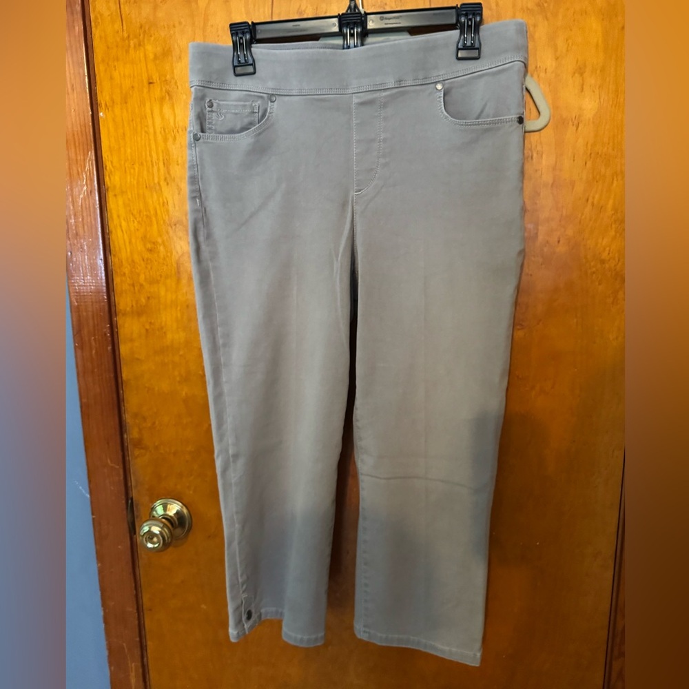 Gloria Vanderbilt Avery Light Gray Pants